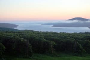 sunrise overlooking vineyard in finger lakes