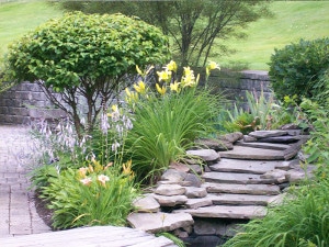 stone steps on garden path